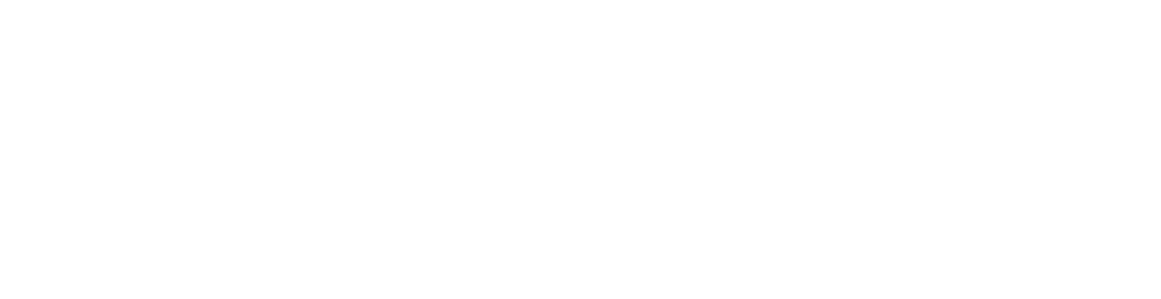 COPO.io logo